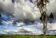 The AI Investment Boom: A Tale of Two Economies: Understanding the Divergence and Forging a Path to Universal Prosperity